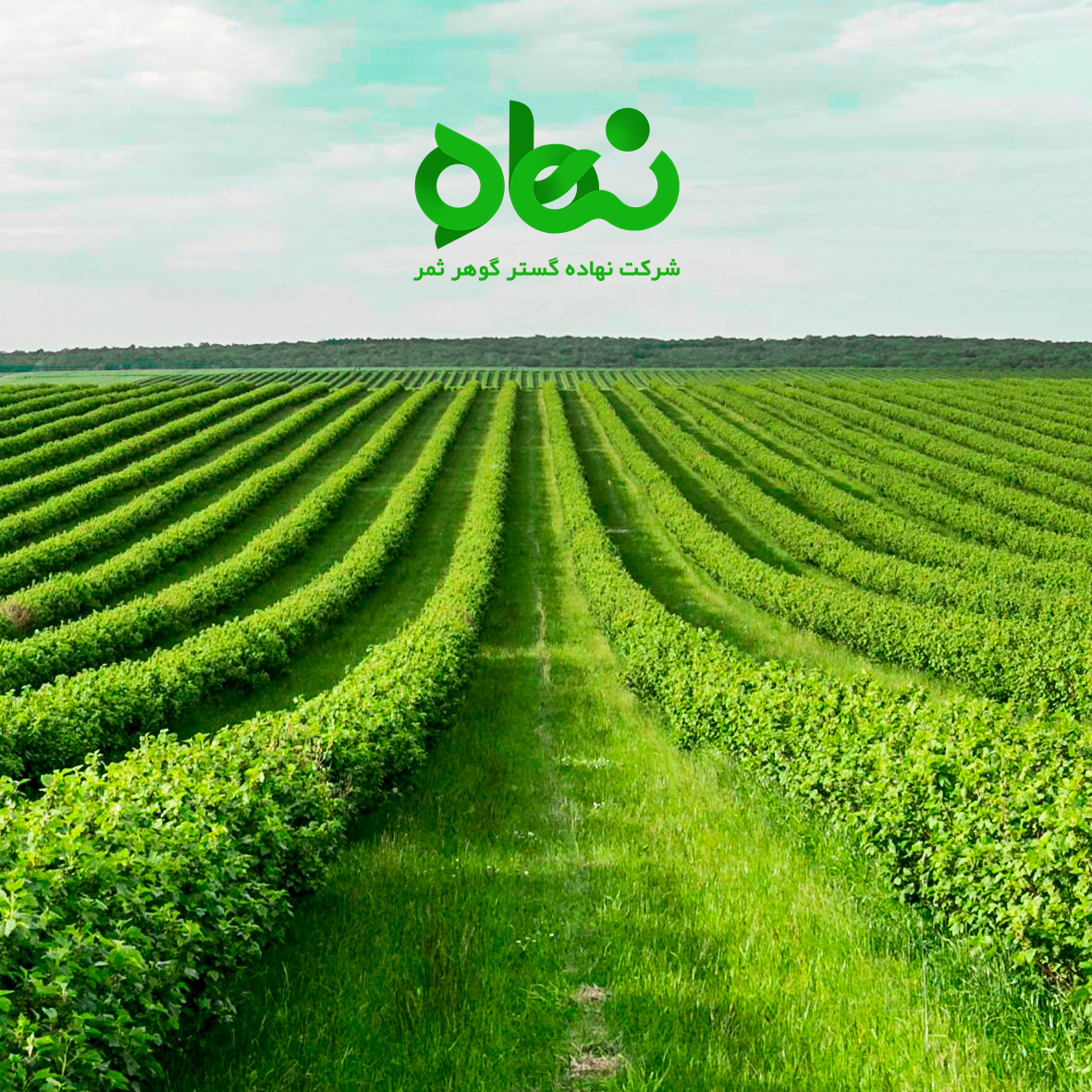 بیانیه ماموریت