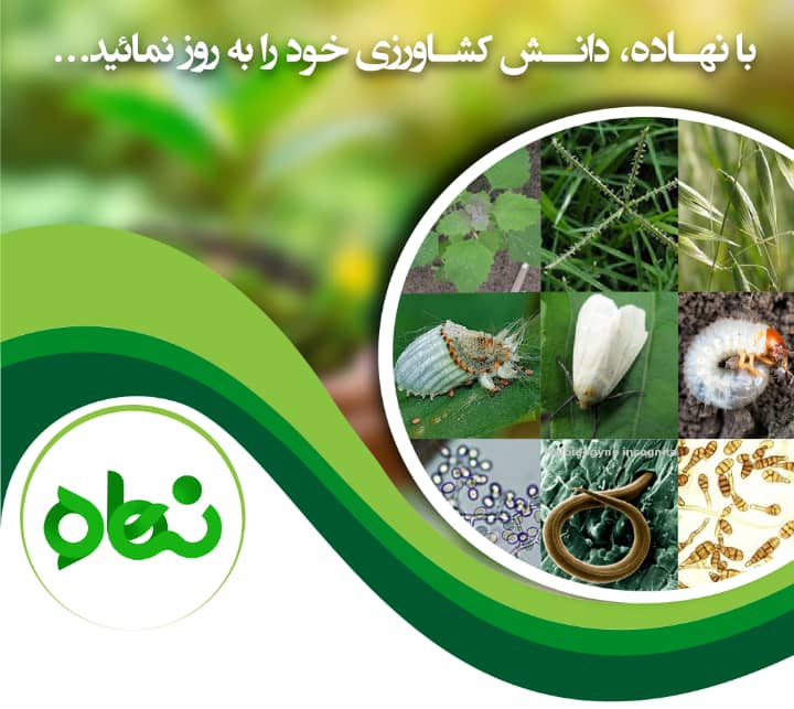 فهرست جدید آفات، بیماریها و علفهای هرز