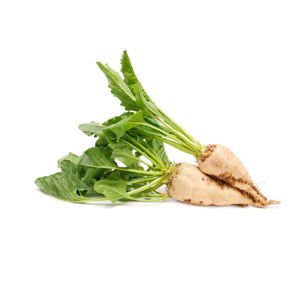 برنامه تغذیه چغندرقند